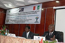 Des experts africains réfléchissent à Abidjan sur les opportunités d'échanges de produits agricoles et agroalimentaires