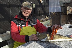 Il trouve un Sextoy dans l'estomac d'un poisson