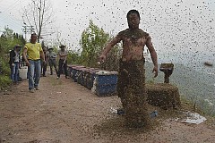 (Photos) Un éleveur se couvre de 45 kg d'abeilles