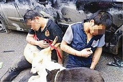 Ces voleurs de chiens les revendaient comme… viande: ils ont été rattrapés et battus par des villageois Ces voleurs de chiens les revendaient comme… viande: ils ont été rattrapés et battus par des villageois