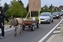 Privé de permis, il va au travail avec un âne