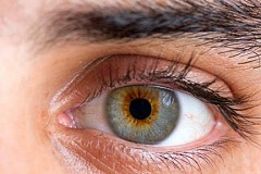 Paralysé, il raconte sa vie en clignant des yeux Paralysé, il raconte sa vie en clignant des yeux