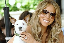 Mariah Carey dépense 28 000 dollars par an pour ses chiens
