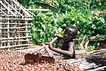 Au moins 625 enfants victimes des pires formes de travail identifiés à Soubré (ANADER)