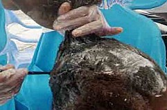 Cameroun : Elle meurt après un défrisage Cameroun : Elle meurt après un défrisage