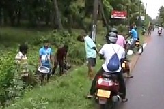 (Vidéo) Il pleut du poisson (Vidéo) Il pleut du poisson