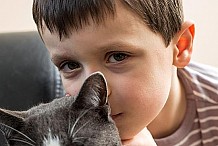 (Vidéo) Le chat sauve son petit maître attaqué par un chien 