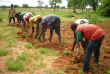 Politique carcérale : La Côte d’Ivoire expérimente la réinsertion des détenus par l’agropastoral