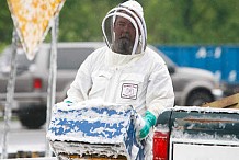Un camion se renverse en libérant des millions d'abeilles