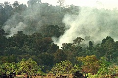 Un Américain retrouve sa mère dans une tribu amazonienne