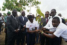 Projet « Une école, 5 ha de forêt » - Les élèves du lycée Blaise Pascal reboisent à Anguédédou
