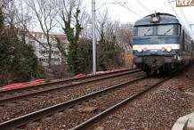 Fontainebleau-Avon : miraculée après s'être jetée sous un train