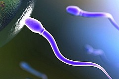 Pénurie de sperme en Belgique, les autorités appellent aux dons