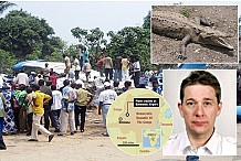 Un crocodile à l'origine du crash d'un Boeing 727 au Congo en 2010 (18 morts)?