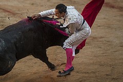 (Photos) Un matador frise la correctionnelle