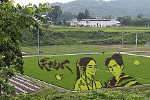 (Photos) Japon: Des rizières transformées en tableaux géants