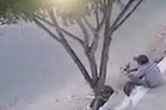 (Vidéo) Brésil: La mort frôle trois hommes assis sur le trottoir (Vidéo) Brésil: La mort frôle trois hommes assis sur le trottoir