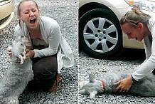 (Vidéo) Un chien s'évanouit de joie en retrouvant sa maîtresse