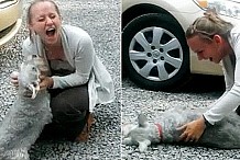(Vidéo) Un chien s'évanouit de joie en retrouvant sa maîtresse