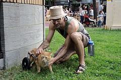 Un chat paralysé chasse les oiseaux en fauteuil roulant Un chat paralysé chasse les oiseaux en fauteuil roulant
