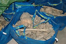 Suède : une femme découvre 80 squelettes dans des sacs Ikea