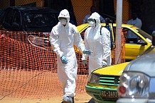 Premier sommet Afrique à Washington avec Ebola en toile de fond