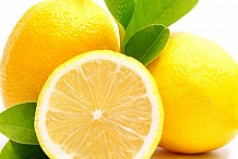 Citron : pour la santé du corps et de la peau