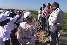 Agriculture : le Plan Maroc Vert expliqué à une délégation ivoirienne de l’ANADER