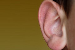 Louhans : il le mord et lui arrache la moitié de l’oreille Louhans : il le mord et lui arrache la moitié de l’oreille