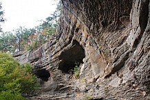 Somnambule, il campe au bord d'une falaise... et tombe dans le vide