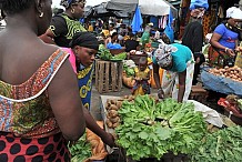 La Côte d'Ivoire est « sous pression alimentaire » (Officiel) 