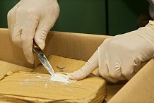 Cocaïne et cannabis dans une voiture du...Vatican