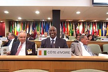 90eme session du conseil international du cacao : les pays membres font doublement confiance à la Côte d’Ivoire