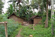 Un Thaïlandais tue son frère parce qu'il chantait des chants bouddhistes, tôt le matin