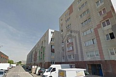 Lille: un mouton saute… du cinquième étage d'un immeuble Lille: un mouton saute… du cinquième étage d'un immeuble