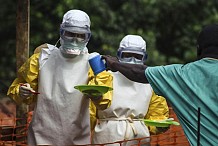 Ebola: nouvelle initiative de la FAO pour faire face aux menaces croissantes sur la sécurité alimentaire 