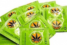 Cannadom, le préservatif aromatisé au cannabis