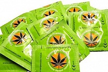Cannadom, le préservatif aromatisé au cannabis