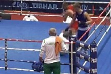 (vidéo) Mécontent de la décision, un jeune boxeur croate met l'arbitre KO d'une droite 