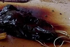 Elle laisse pourrir son chien dans son logement Elle laisse pourrir son chien dans son logement