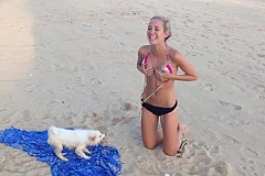 (Vidéo) Un chien s’acharne sur le bikini d’une jolie blonde