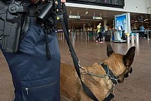 Un maître-chien policier condamné à payer pour une bavure de son chien