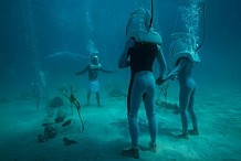 À Bora Bora, mariage à quatre mètres sous l'eau