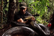 (Vidéo) Avalé vivant par un anaconda