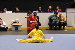 (Vidéo) Demonstration de Wushu à Toronto (Vidéo) Demonstration de Wushu à Toronto