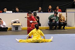 (Vidéo) Demonstration de Wushu à Toronto