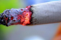 Déguisé en mouton, il prend feu en allumant une cigarette