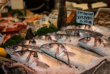 Ivre, le poissonnier s'exhibe en guêpière dans sa vitrine