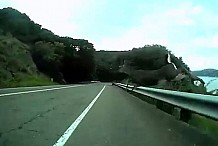(Vidéo) Un cycliste percuté à pleine vitesse par un cerf