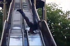 (vidéo) Si le toboggan est fermé, c’est qu’il y a une bonne raison 